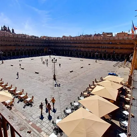 Toro 2, 2º En La Misma Plaza Mayor De